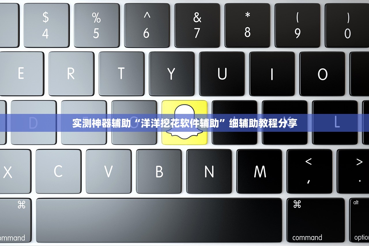 实测神器辅助“洋洋挖花软件辅助”细辅助教程分享