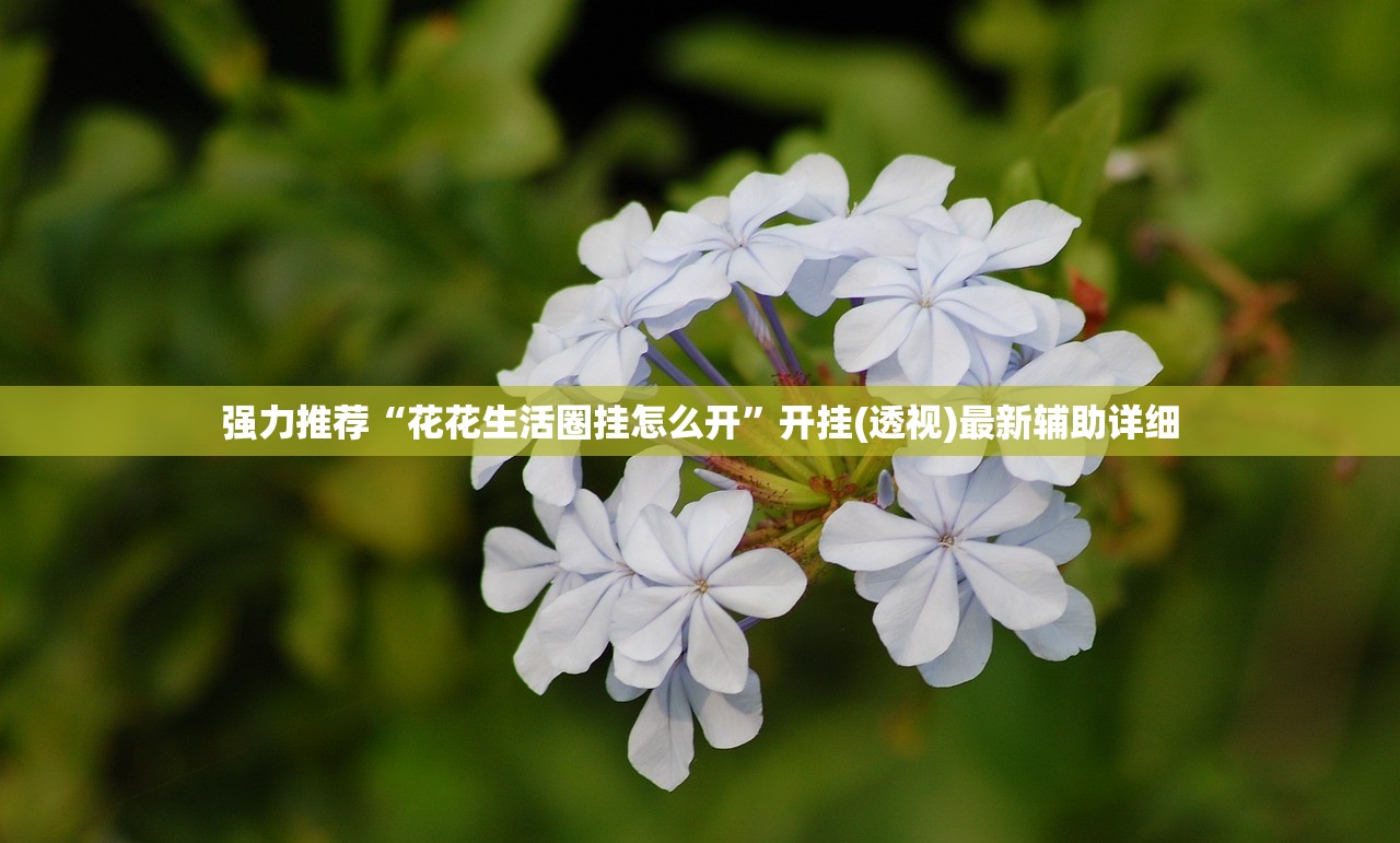 强力推荐“花花生活圈挂怎么开”开挂(透视)最新辅助详细