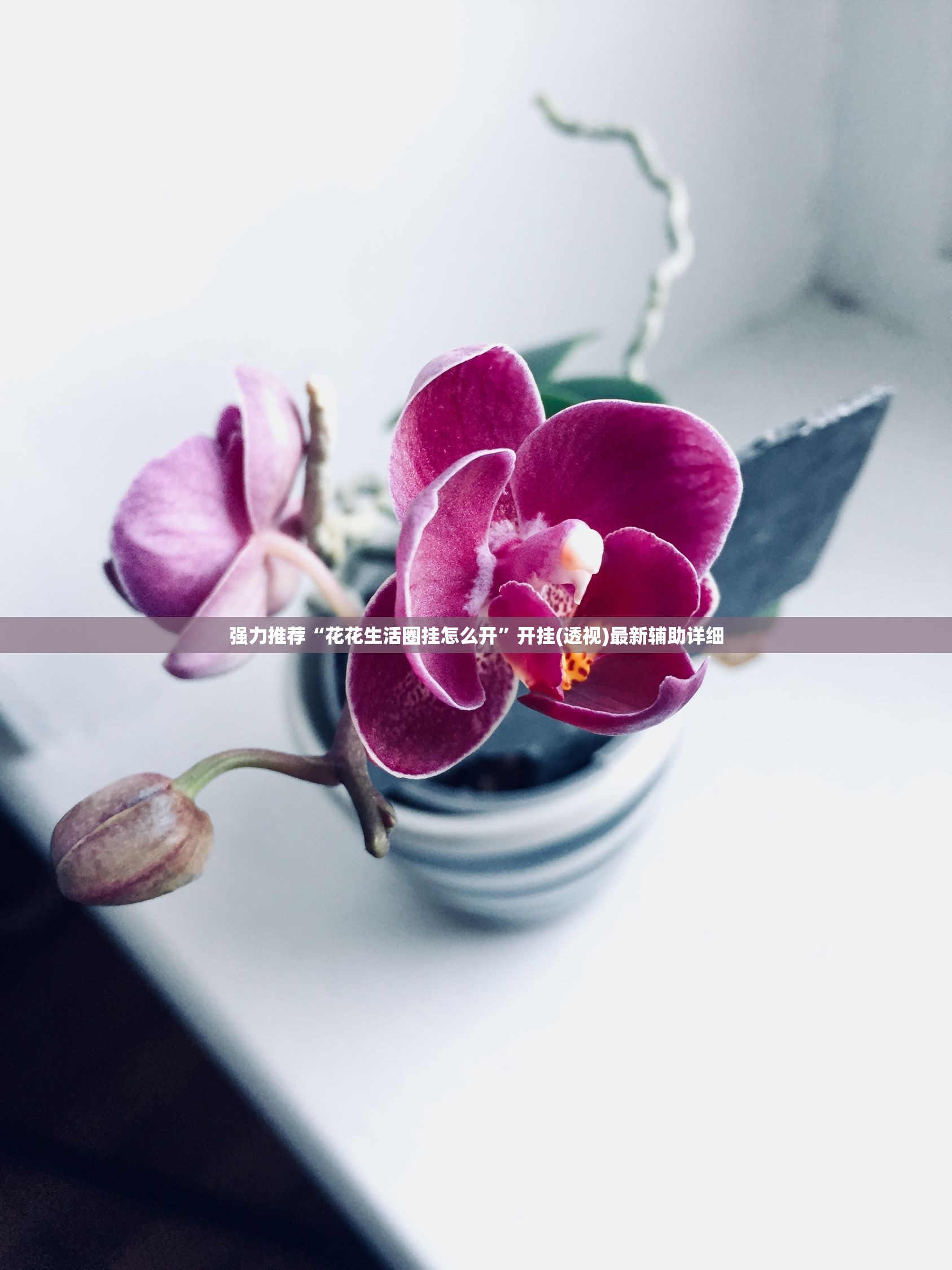 强力推荐“花花生活圈挂怎么开”开挂(透视)最新辅助详细