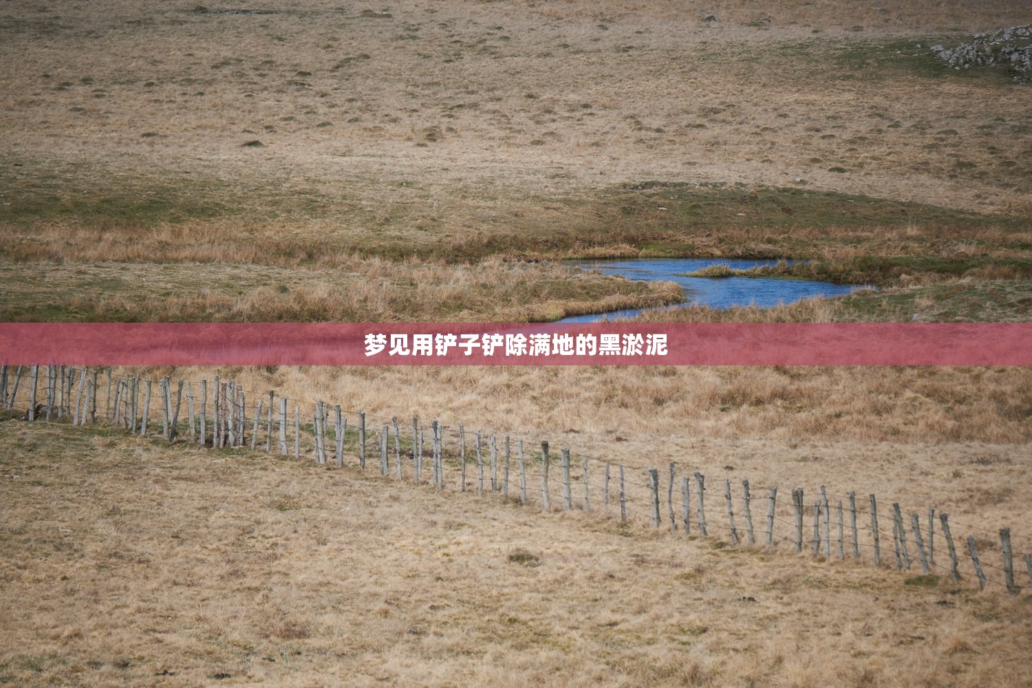 梦见用铲子铲除满地的黑淤泥 梦见用铲子铲除满地的黑淤泥